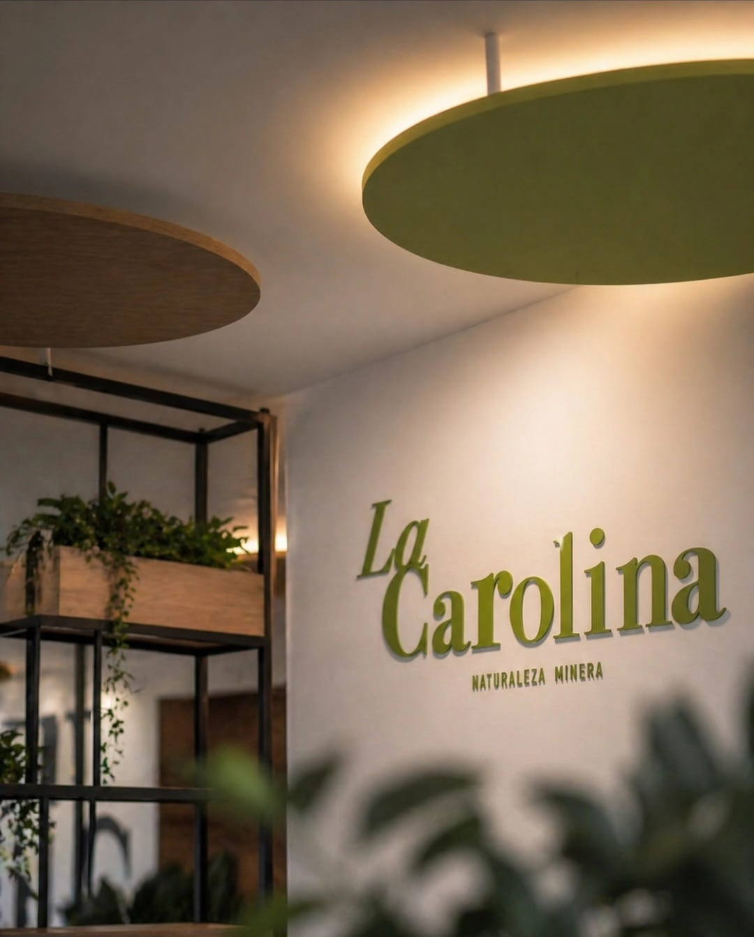 logo oficina la carolina en Jaén