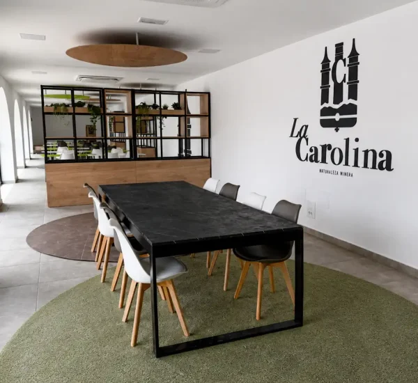 Oficina reforma La Carolina con mesa negra y moqueta verde y marron